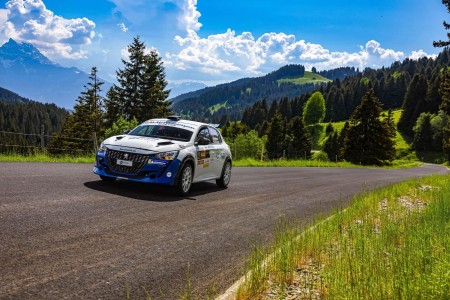 Peugeot 208 Rally4 - Foto 7