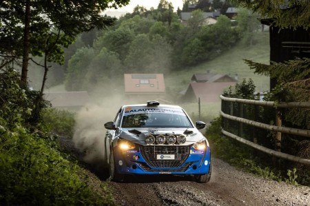 Peugeot 208 Rally4 - Foto 8