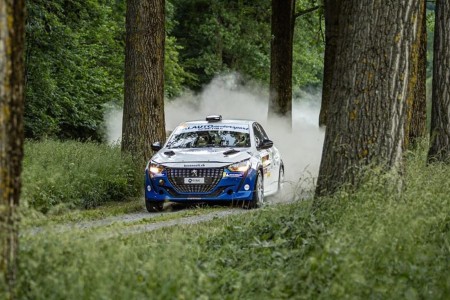 Peugeot 208 Rally4 - Foto 6